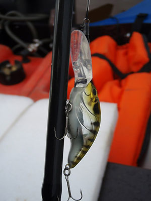�������� Daiwa bass hunter