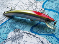 CRYSTAL MINNOW (SP) 110
