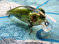 Owner Cultiva Bugeye Bait