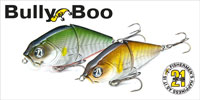 Pontoon 21 Bully Boo