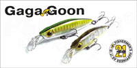 Pontoon 21 GagaGoon