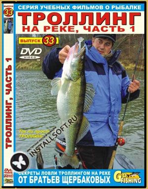���� DVD ��.��������� �33 �������� �� ����, ����� 1