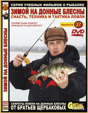 ���� DVD ��. ��������� �37 ����� �� ������ ������