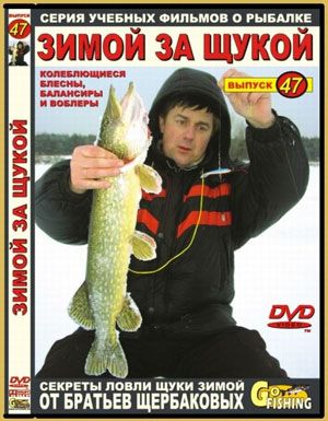 ���� DVD ��. ��������� �47 ����� �� �����