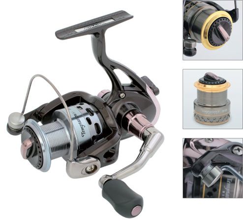 ������� Mikado TEMPTATION 2006 FD (6 ����.)