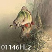 �������� � ������ 01146HL2 / �. 46-48 (M)