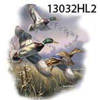 �������� � ������ 13032HL2 / �. 50-52 (XL)