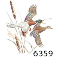 �������� ��� � ������ 6359 / �. 48-50 (L)