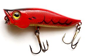 ������ AIKO CHAMP popper 70F 7�� 7� / J14