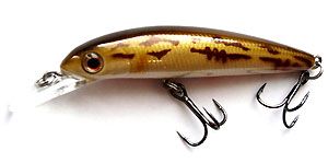 ������ AIKO COR minnow 60F 6�� 3,8� / S24