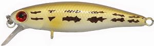 ������ AIKO SHINE minnow 56F 5,6�� 4� / S24