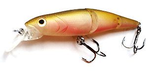 ������ AIKO WATER JOINT minnow 95F 9,5�� 10� / M04