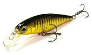 ������ Lucky Craft Pointer 78 / 242 Black Gold