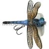 ������ AQUA Dragon Fly Popper 70mm DF05