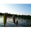 ������ S.Stream PIKE B Float. / DD-10