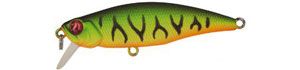 ������ Pontoon21 Preference Shad 55SP-SR (5,4�, 0,4-0,6�) / A42