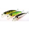 ������ Pontoon21 GagaGoon 60SS-SR (6,8�, 0,7-1,2�) / �R10