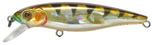 ������ Pontoon21 Greedy-Guts 66F-MDR (7,0�, 1,5-2,0�) / 407