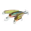 ������ Pontoon21 Greedy-Guts 77SP-MDR (10,8�, 1,7-2,2�) / �407